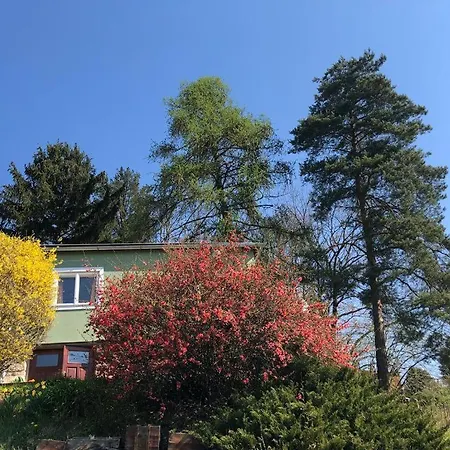 Michaela * טורנוב